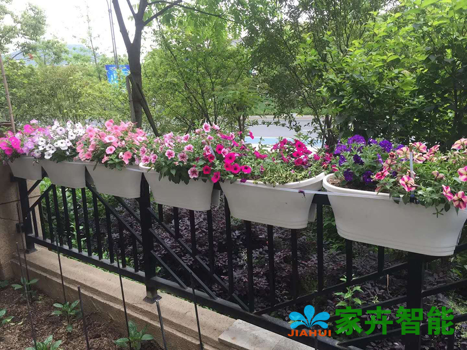 使用自动浇水系统图片