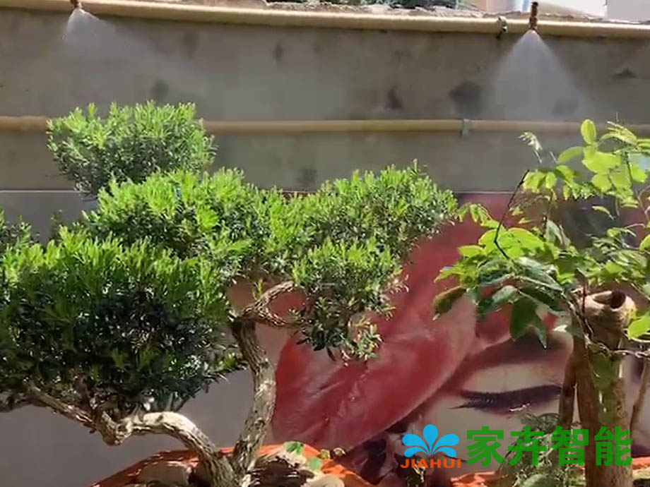 使用自动浇水系统效果图片